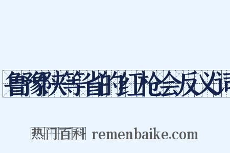 鲁豫陕等省的红枪会反义词是什么意思的图片